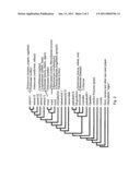 WATER DEFICIT-INDUCIBLE PROMOTERS diagram and image