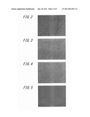 METHOD FOR PRODUCING PLASTIC LENS diagram and image