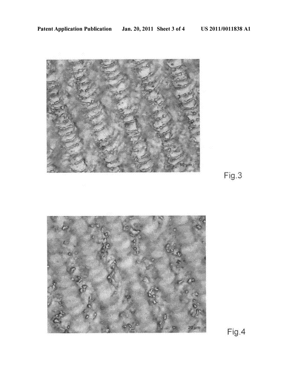 Method for fabricating semicoductor wafers applicable to integrated circuit manufacture - diagram, schematic, and image 04