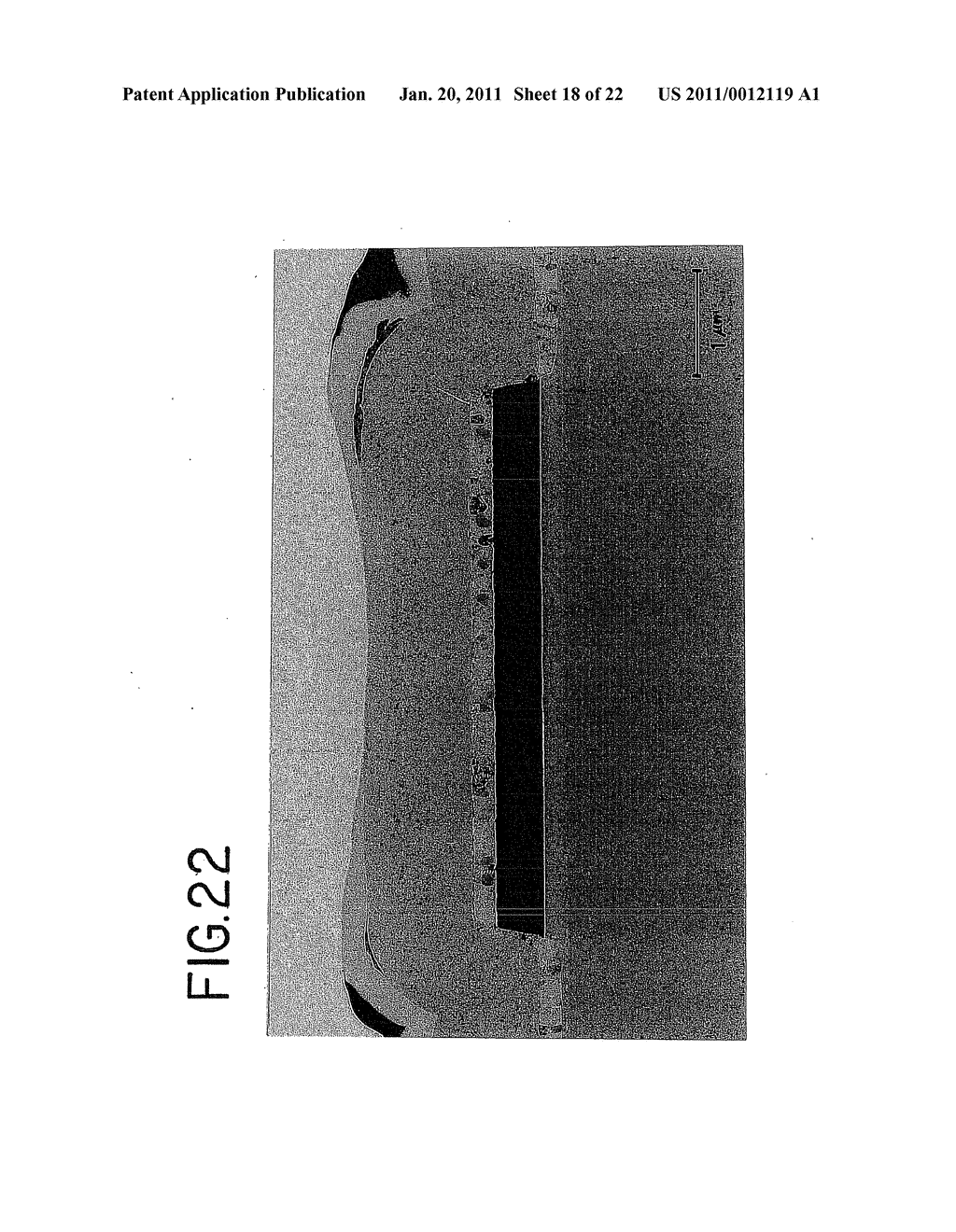 Semiconductor Device and Method for Fabricating the Same - diagram, schematic, and image 19