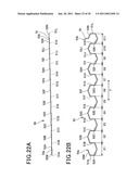 STATOR FOR ELECTRIC ROTATING MACHINE diagram and image