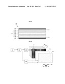 DISPLAY DEVICE, POLARIZATION MEMBER AND MANUFACTURING METHOD THEREOF diagram and image