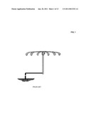 Polarized lightning arrestors diagram and image