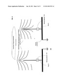 Polarized lightning arrestors diagram and image