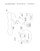 Polarized lightning arrestors diagram and image