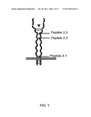 CYTOKINE RECEPTOR MODULATORS, METHOD OF IDENTIFYING SAME, AND METHOD OF MODULATING CYTOKINE RECEPTORS ACTIVITY WITH SAME diagram and image