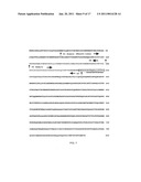 CYTOKINE RECEPTOR MODULATORS, METHOD OF IDENTIFYING SAME, AND METHOD OF MODULATING CYTOKINE RECEPTORS ACTIVITY WITH SAME diagram and image