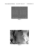 NANOMOLDING MICRON AND NANO SCALE FEATURES diagram and image