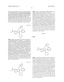 Aromatic Heterocyclic Fused Indolobenzadiazepine HCV NS5B Inhibitors diagram and image