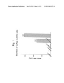 Recombinant Human CLN2 Protein and Methods of Its Production and Use diagram and image