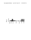 Recombinant Human CLN2 Protein and Methods of Its Production and Use diagram and image