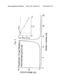 Recombinant Human CLN2 Protein and Methods of Its Production and Use diagram and image