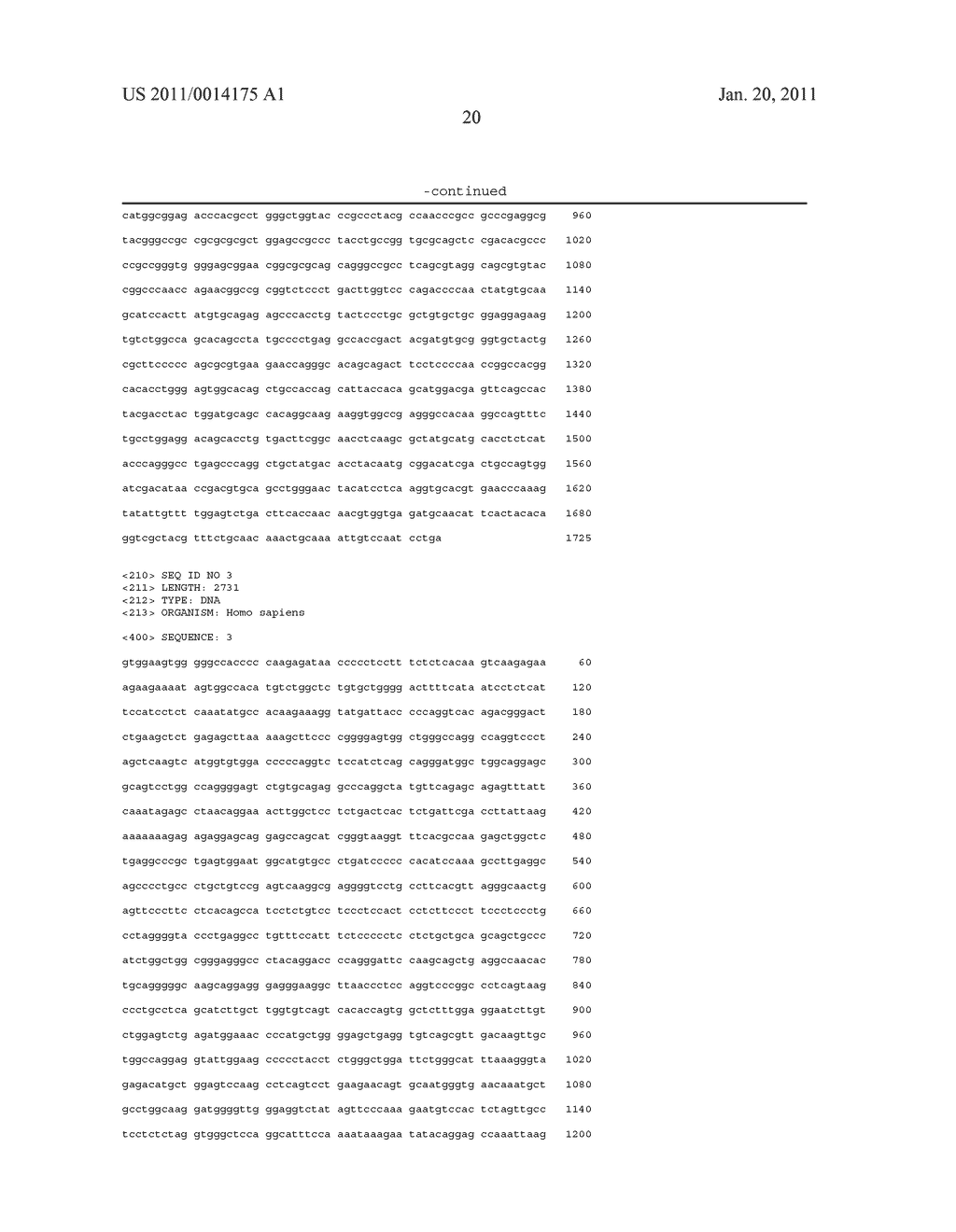 STIMULATION OF THE SYNTHESIS OF THE ACTIVITY OF AN ISOFORM OF LYSL OXIDASE-LIKE LOXL FOR STIMULATING THE FORMATION OF ELASTIC FIBRES - diagram, schematic, and image 30