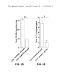 MCAM MODULATION AND USES THEREOF diagram and image