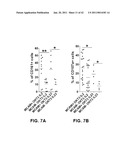 MCAM MODULATION AND USES THEREOF diagram and image