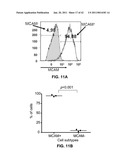 MCAM MODULATION AND USES THEREOF diagram and image