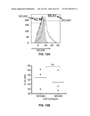 MCAM MODULATION AND USES THEREOF diagram and image