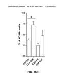 MCAM MODULATION AND USES THEREOF diagram and image