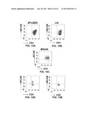 MCAM MODULATION AND USES THEREOF diagram and image