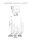 MCAM MODULATION AND USES THEREOF diagram and image