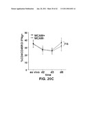 MCAM MODULATION AND USES THEREOF diagram and image