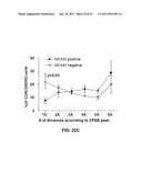 MCAM MODULATION AND USES THEREOF diagram and image