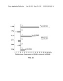 MCAM MODULATION AND USES THEREOF diagram and image