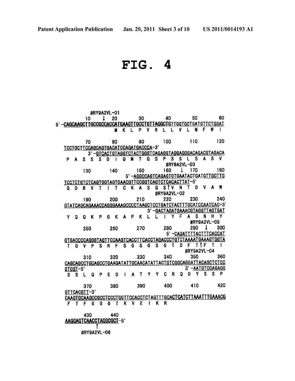 HUMANIZED ANTI-HUMAN ALPHA 9-INTEGRIN ANTIBODY - diagram, schematic, and image 04