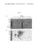 CHLAMYDIA VACCINE diagram and image