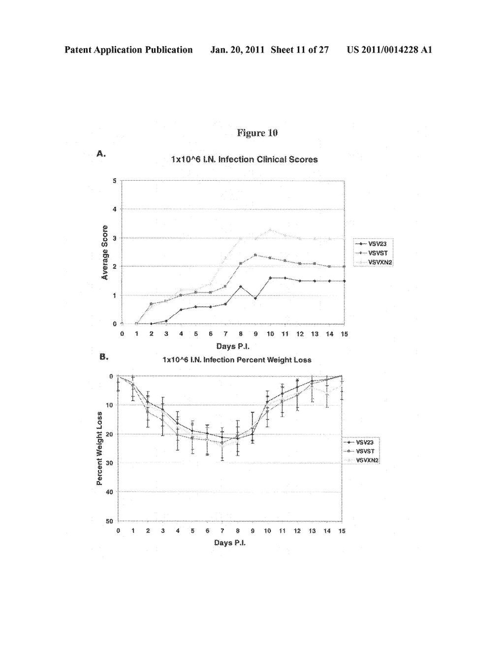 IL23 MODIFIED VIRAL VECTOR FOR RECOMBINANT VACCINES AND TUMOR TREATMENT - diagram, schematic, and image 12