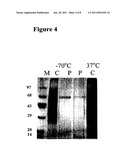 NOVEL PROTEIN CAPABLE OF INHIBITING ANTHRAX TOXIN ACTIVITY diagram and image