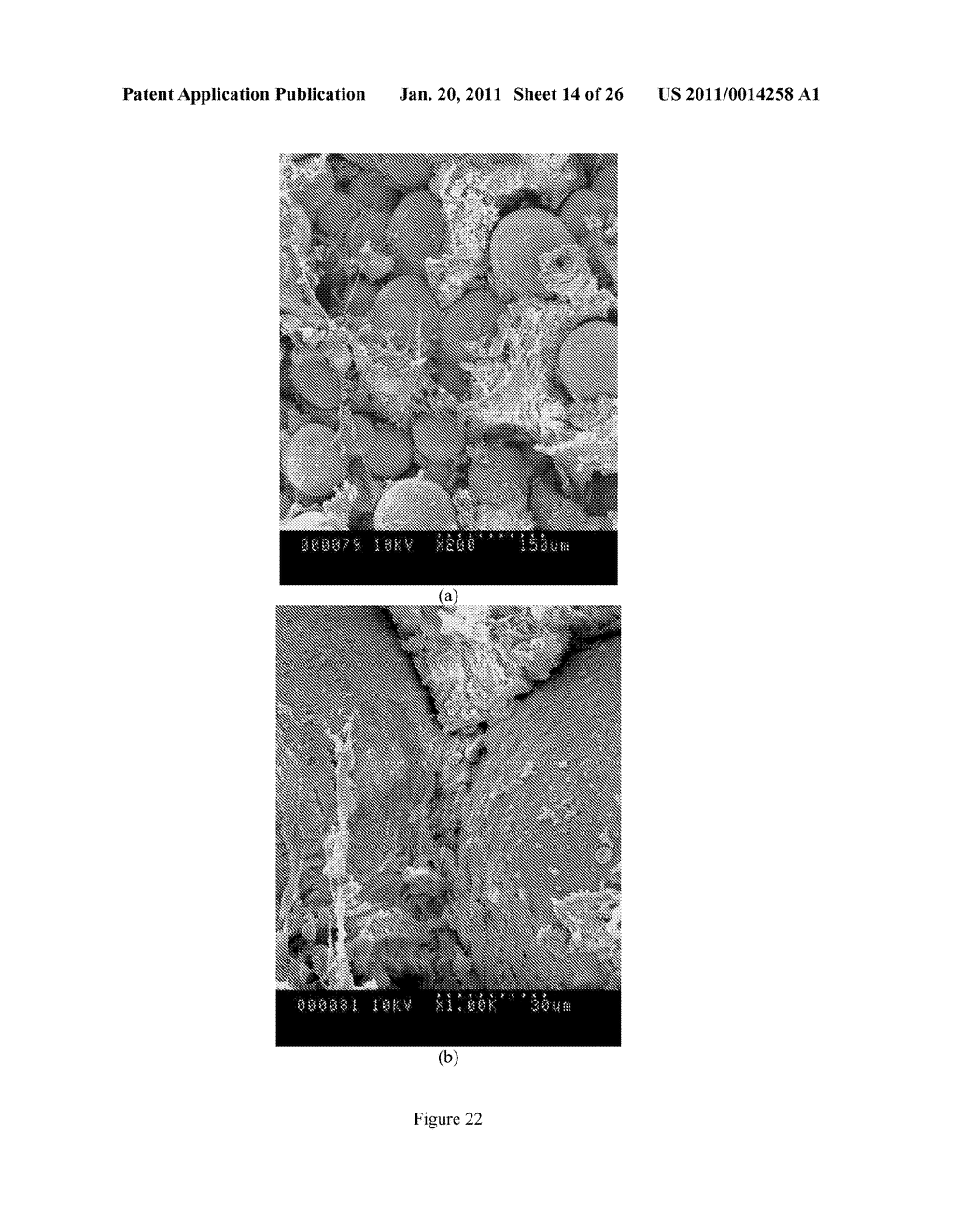 GRADIENT COATING FOR BIOMEDICAL APPLICATIONS - diagram, schematic, and image 15