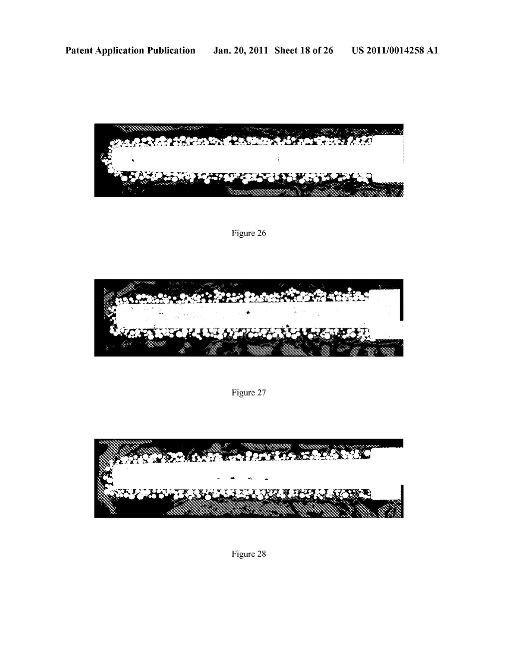 GRADIENT COATING FOR BIOMEDICAL APPLICATIONS - diagram, schematic, and image 19