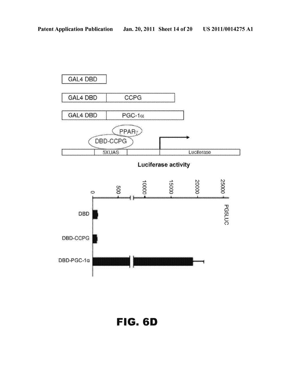 COMPOSITIONS AND METHODS FOR INHIBITING OR INDUCING ADIPOGENESIS - diagram, schematic, and image 15