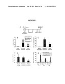  METHOD OF PROPHYLAXIS AND AGENTS FOR USE THEREIN diagram and image