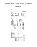  METHOD OF PROPHYLAXIS AND AGENTS FOR USE THEREIN diagram and image