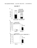  METHOD OF PROPHYLAXIS AND AGENTS FOR USE THEREIN diagram and image