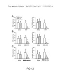 Drug Delivery Nanodevice, its Preparation Method and Uses Thereof diagram and image