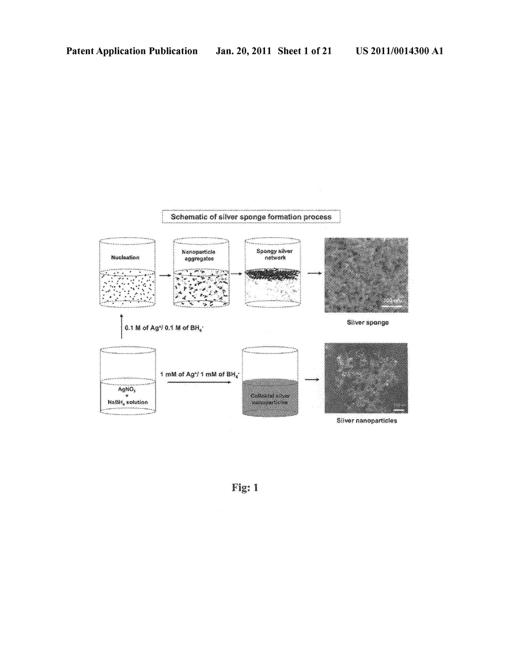 Template Free and Polymer Free Metal, Nanosponge and a Process Thereof - diagram, schematic, and image 02