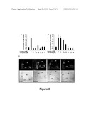 USE OF TRANSPLATIN TO PREVENT HEARING LOSS diagram and image