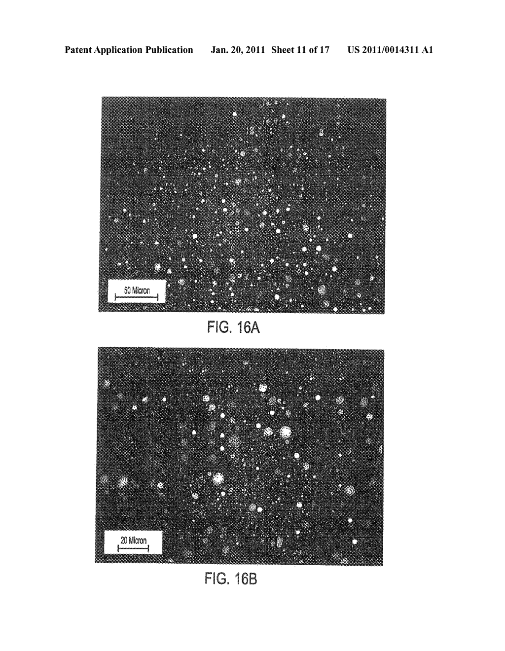 METHOD AND SYSTEM FOR MAKING EXTRUDED PORTIONS OF CHEESE - diagram, schematic, and image 12