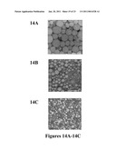 FUNCTIONALLY SUPERIOR WHEY PROTEINS diagram and image