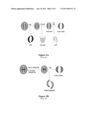 Methods for Coffee Cherry Products diagram and image