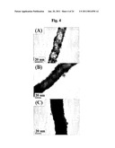 NANOSTRUCTURED MATERIAL LOADED WITH NOBLE METAL PARTICLES diagram and image