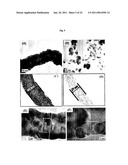 NANOSTRUCTURED MATERIAL LOADED WITH NOBLE METAL PARTICLES diagram and image