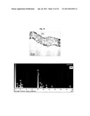 NANOSTRUCTURED MATERIAL LOADED WITH NOBLE METAL PARTICLES diagram and image