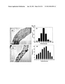 NANOSTRUCTURED MATERIAL LOADED WITH NOBLE METAL PARTICLES diagram and image