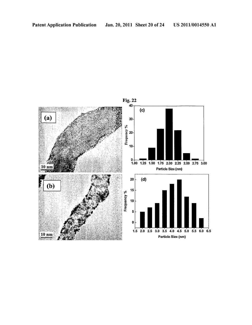 NANOSTRUCTURED MATERIAL LOADED WITH NOBLE METAL PARTICLES - diagram, schematic, and image 21