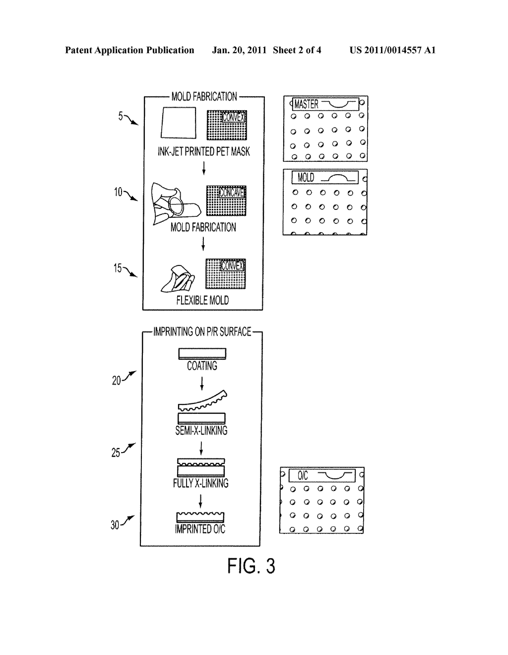 PHOTORECEPTOR OUTER LAYER - diagram, schematic, and image 03