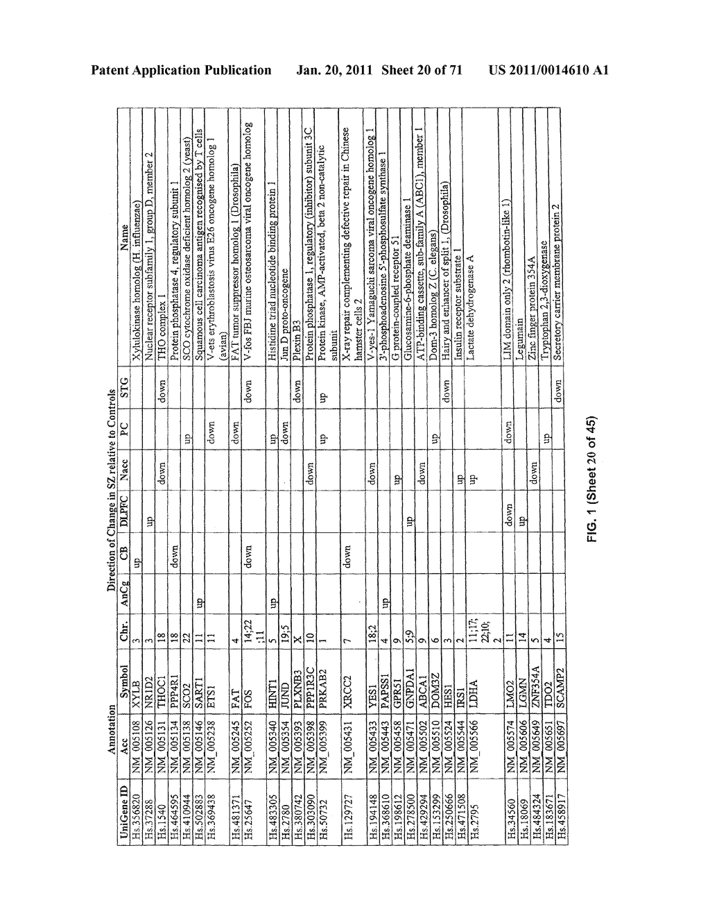 COMPOSITIONS AND METHODS FOR DIAGNOSING AND TREATING NEUROPSYCHIATRIC DISORDERS - diagram, schematic, and image 21